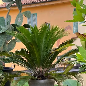 Appartamento Il Terrazzo Di San Colombano, Bologna