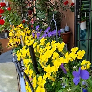 Appartamento Casa Il Gelsomino, Bologna
